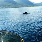Apartment Romsdal Feriesenter - And Boat In Og Romsdal Rekdal