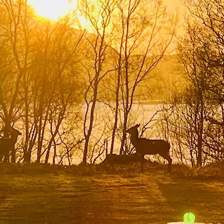 Appartement Awesome Fishing, Boating And Nature Experience At Fiskesenter Birkeland