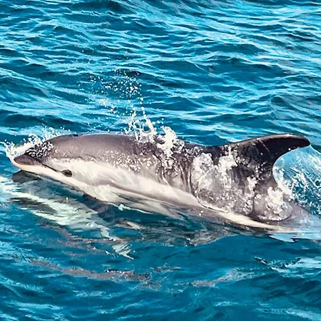 Awesome Fishing, Boating And Nature Experience At Fiskesenter Birkeland *