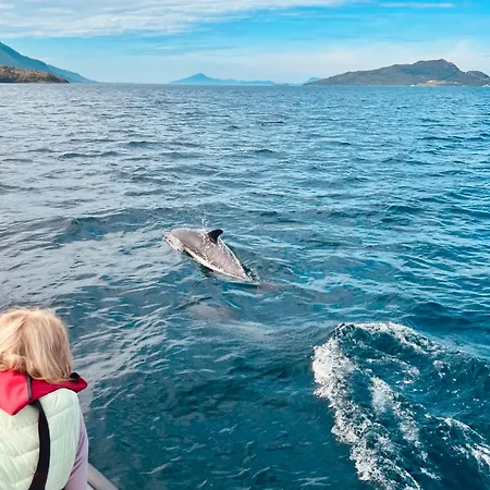 Awesome Fishing, Boating And Nature Experience At Fiskesenter Birkeland Appartement *