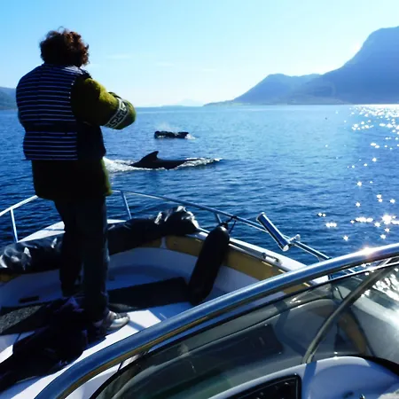 Romsdal Feriesenter - And Boat In Og Romsdal شقة