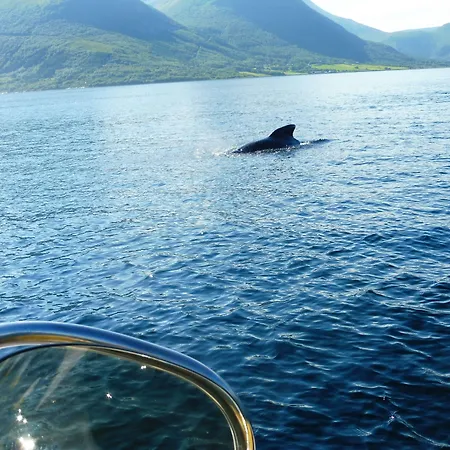 شقة Romsdal Feriesenter - And Boat In Og Romsdal Rekdal