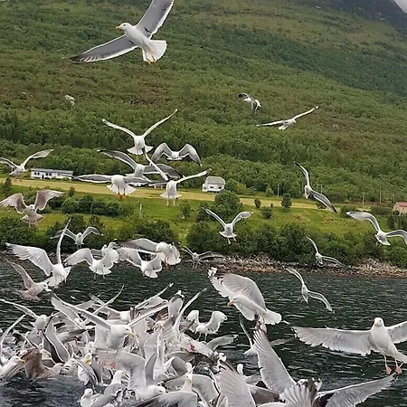 Romsdal Feriesenter - And Boat In Og Romsdal شقة Rekdal