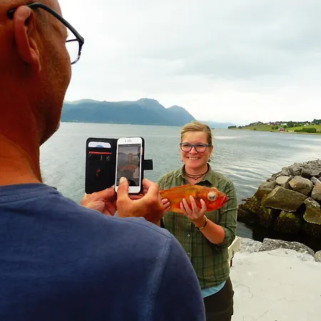 Romsdal Feriesenter - And Boat In Og Romsdal شقة Rekdal