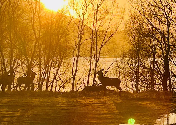 Apartamento Romsdal Feriesenter - Holiday And Boat Rental In More Og Romsdal