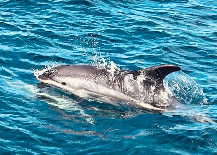 Romsdal Feriesenter - En Bootverhuur In Og Romsdal *