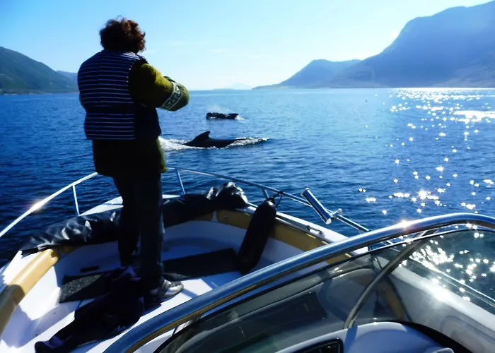 Romsdal Feriesenter - Holiday And Boat Rental In More Og Romsdal Apartamento