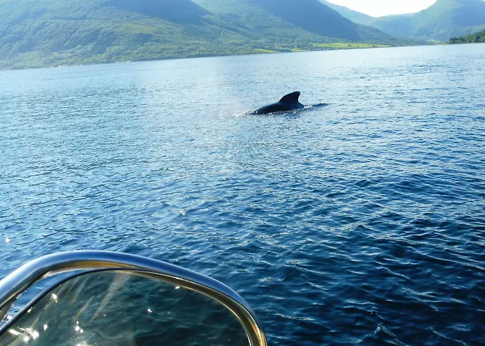 Apartamento Romsdal Feriesenter - Holiday And Boat Rental In More Og Romsdal Rekdal