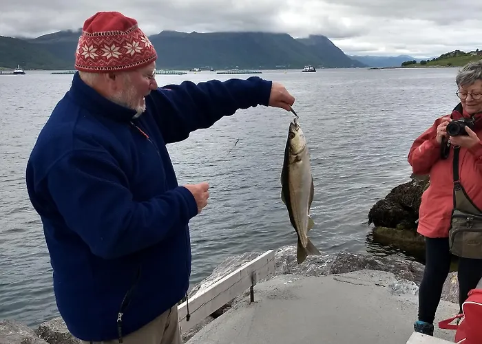 Romsdal Feriesenter - Holiday And Boat Rental In More Og Romsdal