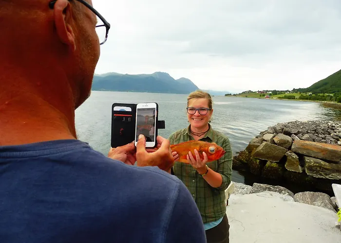 Romsdal Feriesenter - Holiday And Boat Rental In More Og Romsdal Апартаменты Rekdal